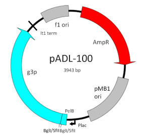 pADL-100 map